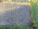 image of grave number 947395
